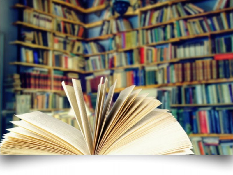 Bibliotecas escolares Cód. 16227