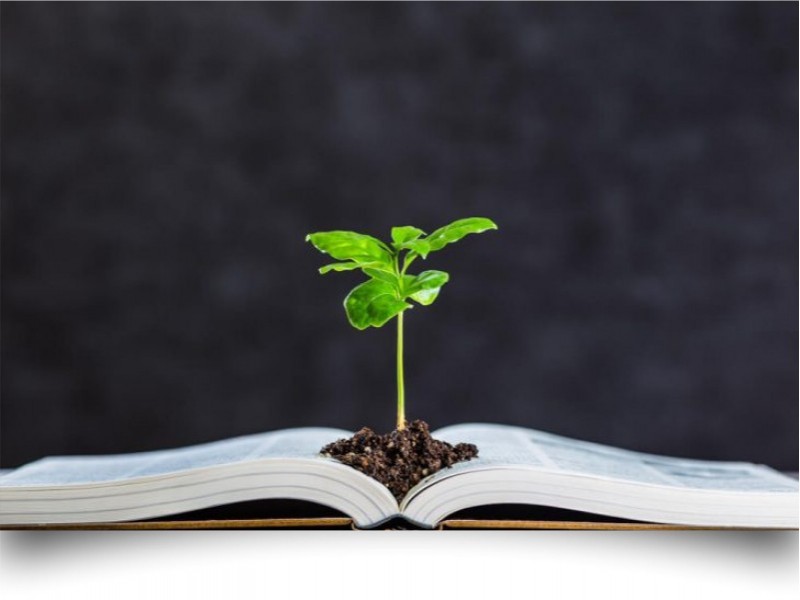 Educação ambiental Cód. 16250