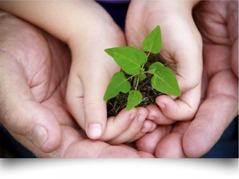 Proteção Ambiental Cód. 16207